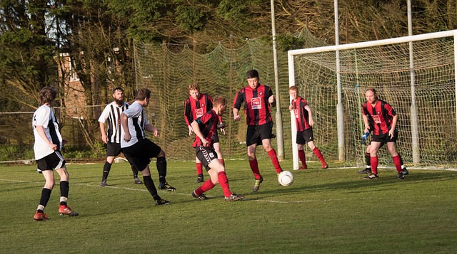 借这场胜利 借这场胜利