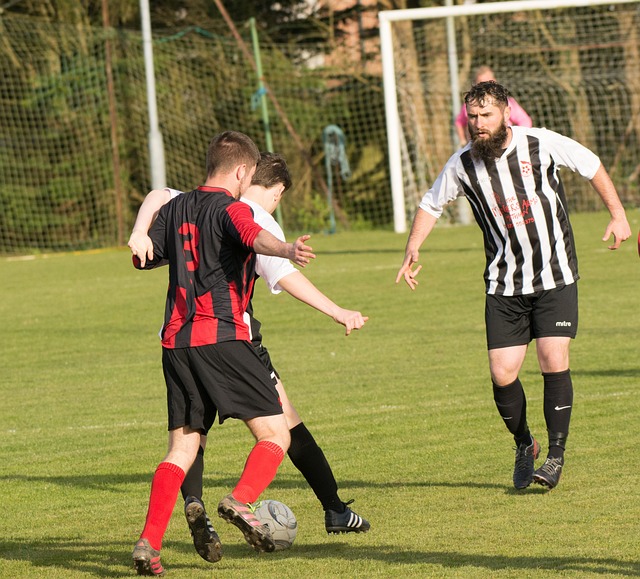 社会公正的 社会公正的