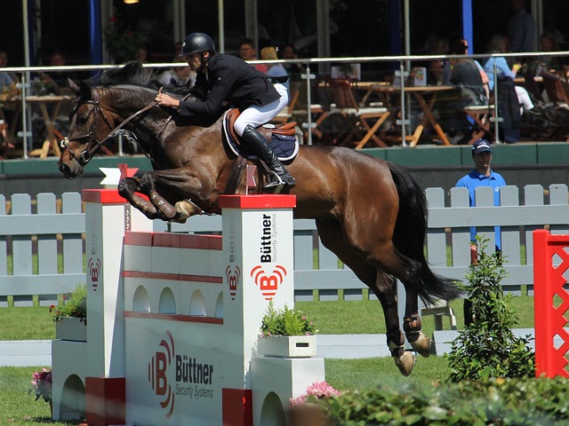 本轮比赛 本轮比赛